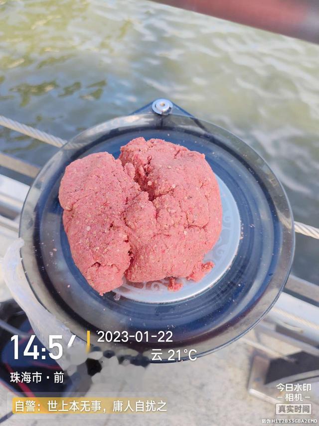 鳊鱼|万象更新初一日,深浅各半略有收获