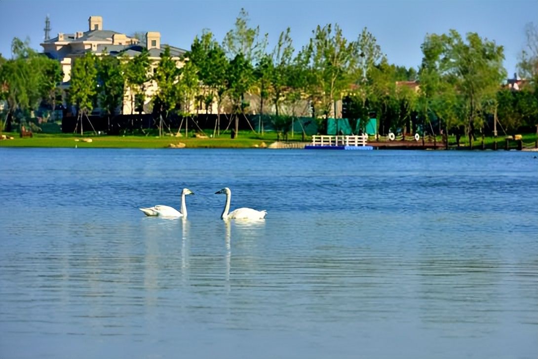 鳊鱼|秋末冬初,钓大鲫鱼的最佳时机在哪里?