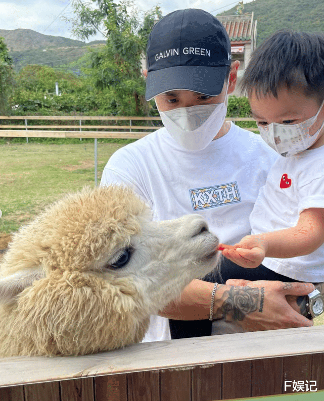 梁靖琪|前TVB小花梁靖琪挺大孕肚与老公儿子去郊游喂动物