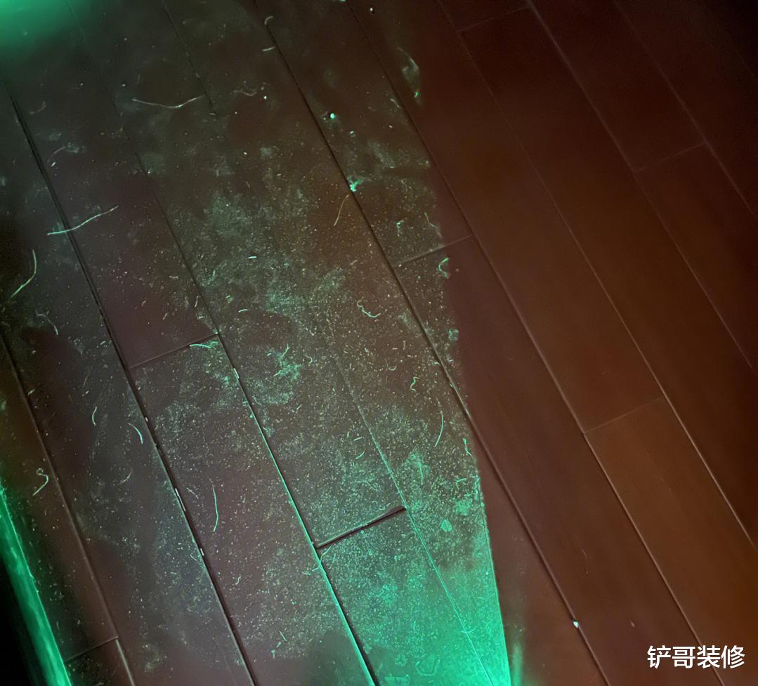 家里总有“毛絮”咋办?日本主妇支招:不用吸尘器,毛絮自动消失