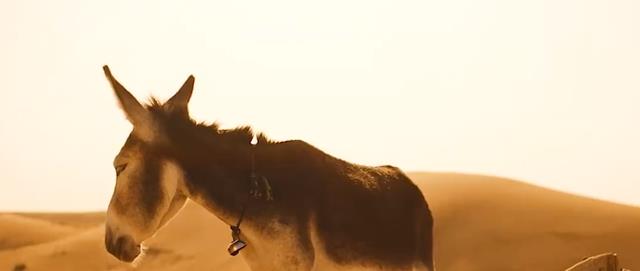 海清|7.8涨到8.5，一部只有海清一个专业演员的文艺片，凭什么能火？