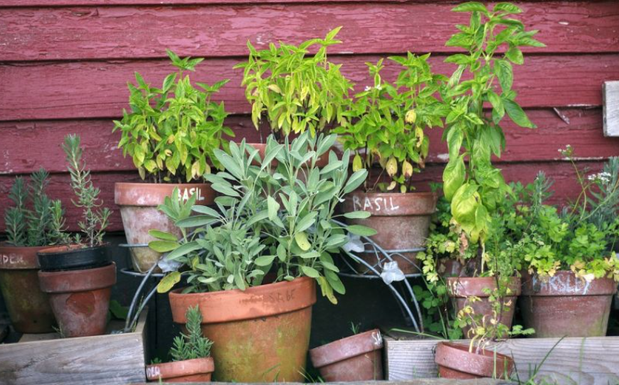 雨季蚊子多,这几种灭蚊方式要小心!
