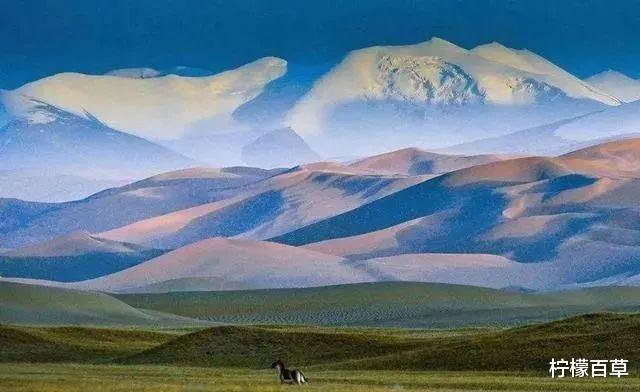 可可西里无人区有多恐怖?被称人类禁区,里面藏有哪些可怕生物?
