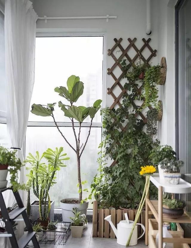 阳台就是要这样布置,养花和晾衣一个都不耽误!