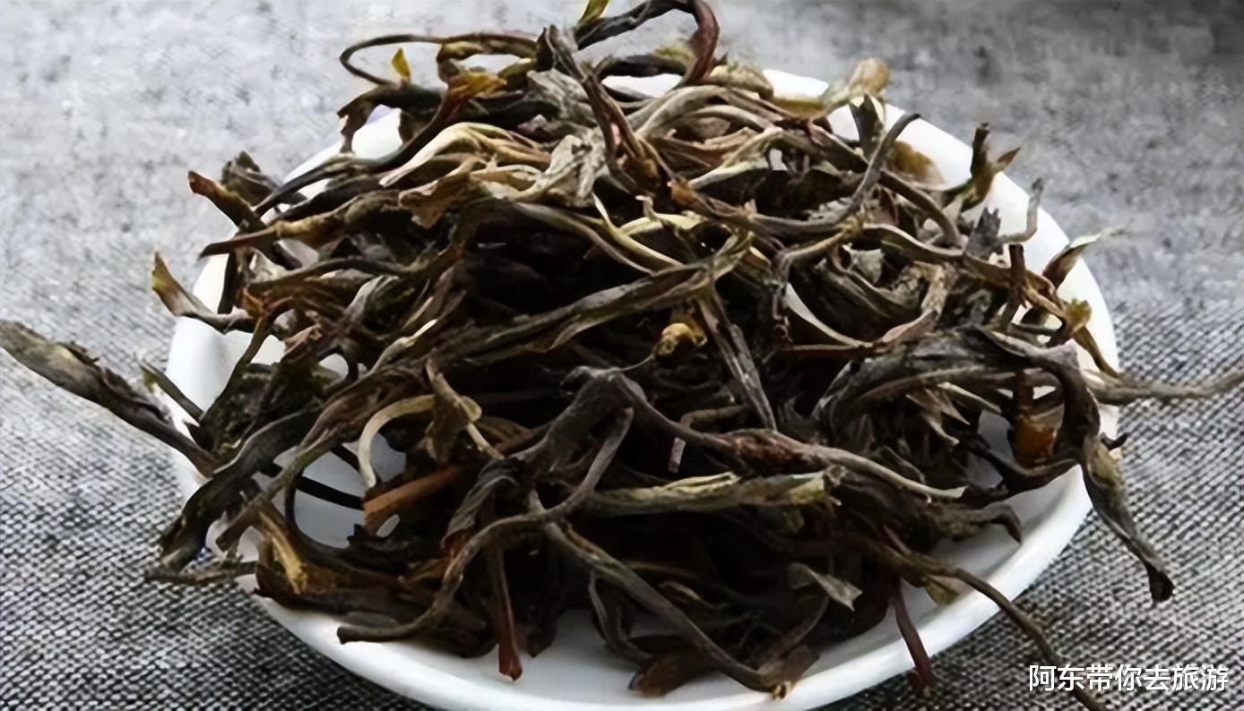 云南|大山深处的“云南第一村”冰岛村，人口不到300人，有6万株古茶树