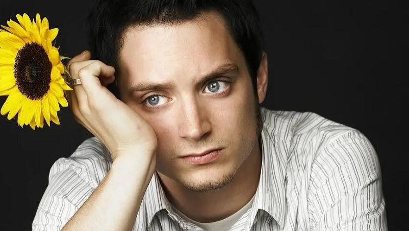 伊利亚·伍德|童星出道的欧美演员，从演员到导演，他的成长有目共睹