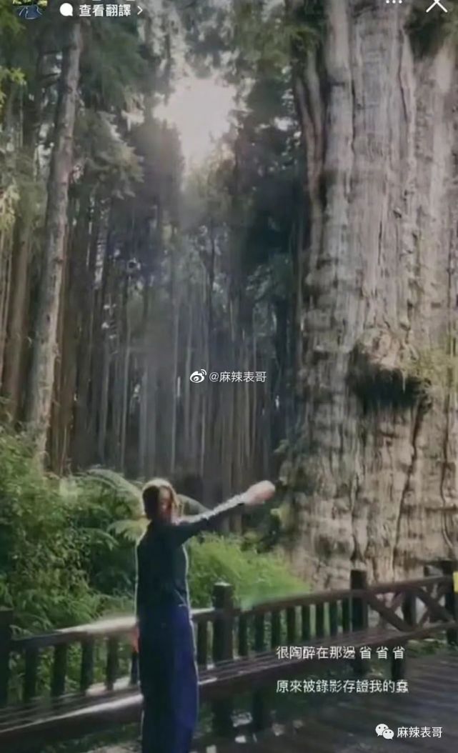 田馥甄|田馥甄这是装都懒得装了？她怎么做到一开口就让人无语的