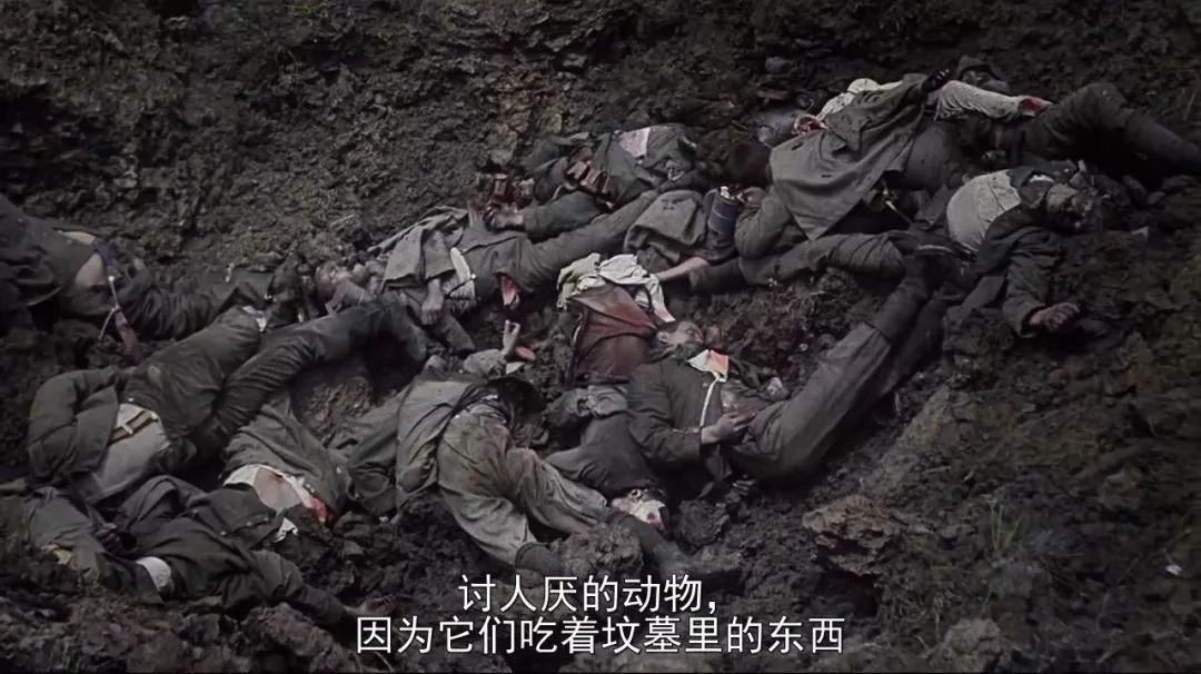 苏拉|悄悄播出的成人向,女主惨死14次,以为又是循环?小看她了!