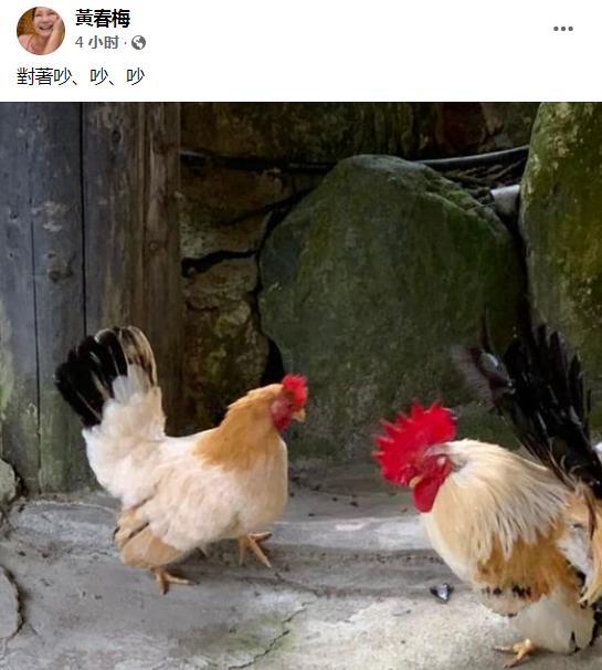 汪小菲|汪小菲迈出第一步社交平台发文：希望女儿开心一个父亲的声音