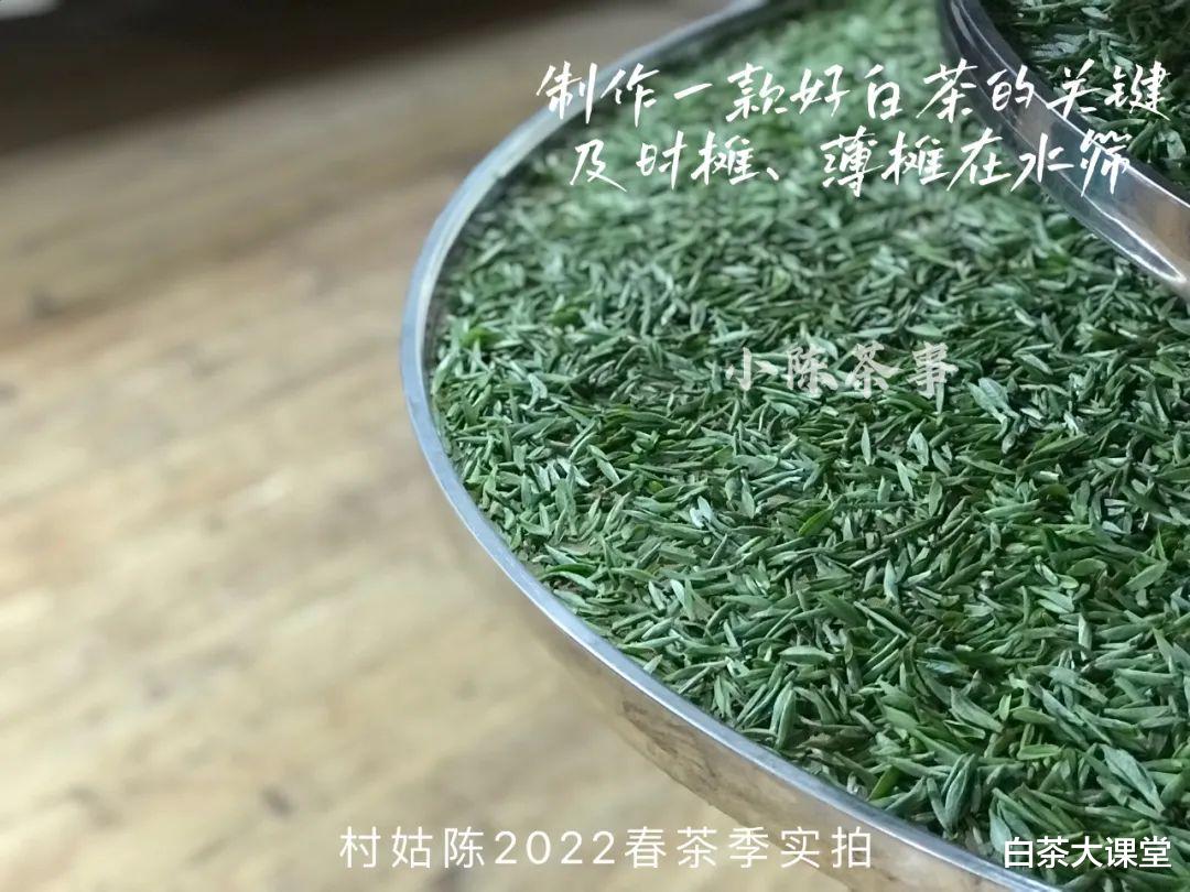|新手泡白茶,白毫银针的价格这么贵,应该怎样冲泡才不浪费?