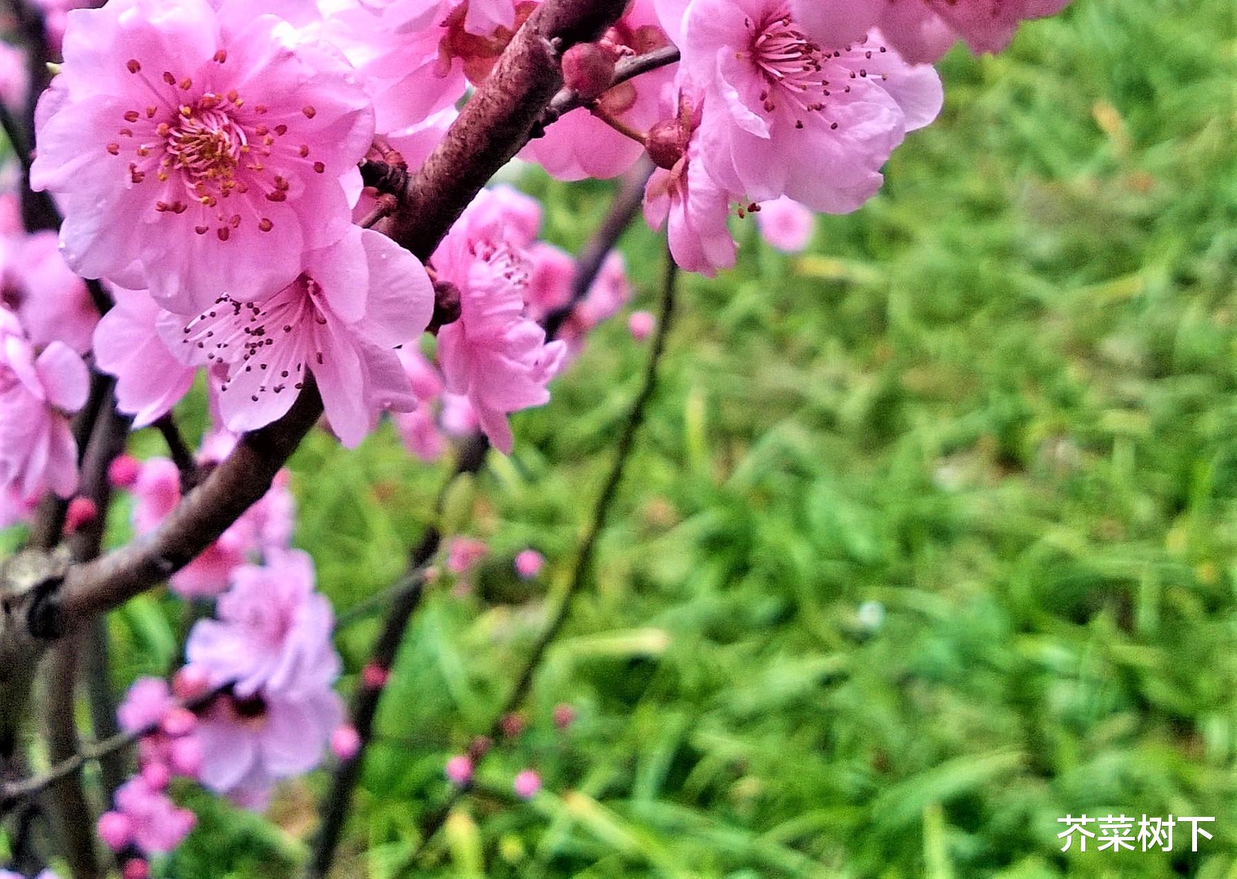 |看似有用,其实无用——职场少做无用功