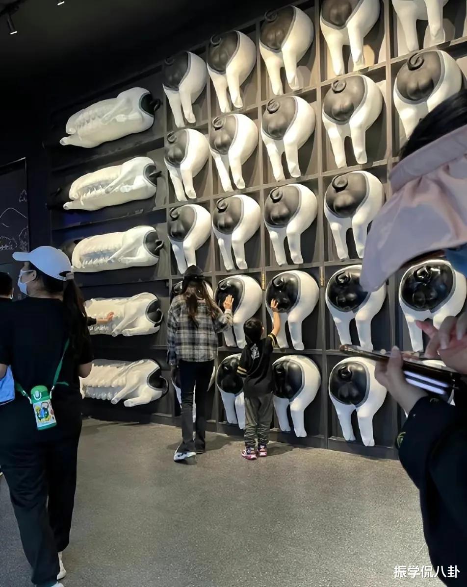 黄晓明|黄晓明新欢像Angelababy，还是忘不了吗？