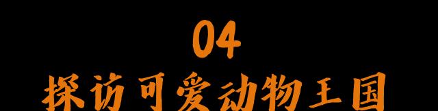 张家口|680平方公里!国内超低调的“红叶第一山”,错峰出行,真香