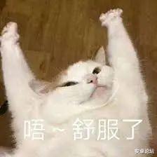 东芝|年度王炸,这款火箭炮电视太顶了