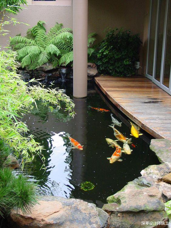 |喜欢养鱼的看过来！6款鱼池样式，错层、花坛、景观墙不信一个也不喜欢