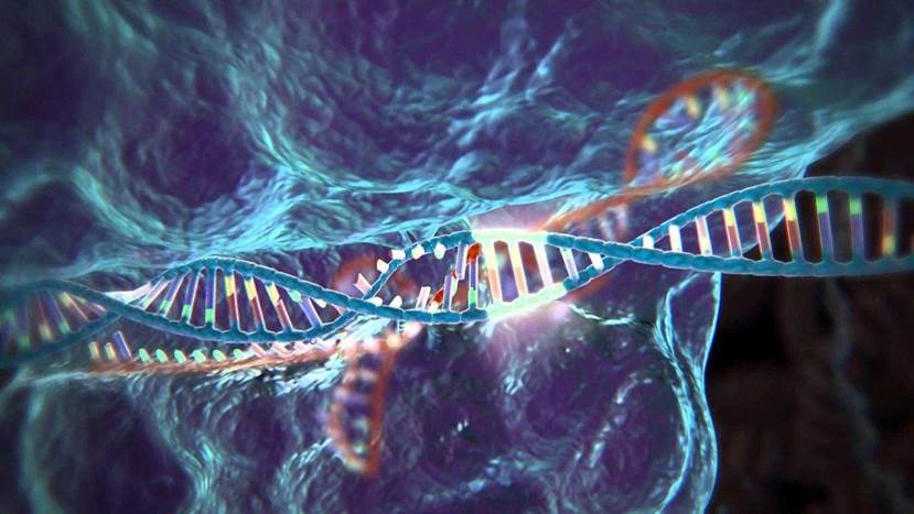 为何生物不进化为永生?科学家解释道:人类只是“基因的工具”
