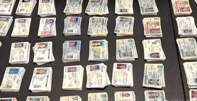 驾照|美国43岁母亲盗用女儿身份,化身青春靓女上大学,狂泡20岁小鲜肉