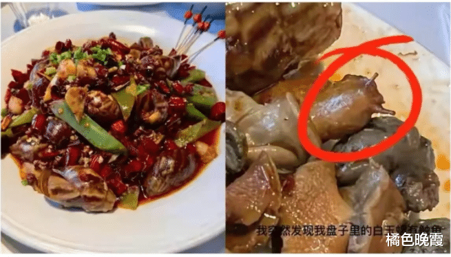 近日,北京,女子去龙虾店点了一份88元的麻辣白玉螺,结果越吃越感觉不对劲