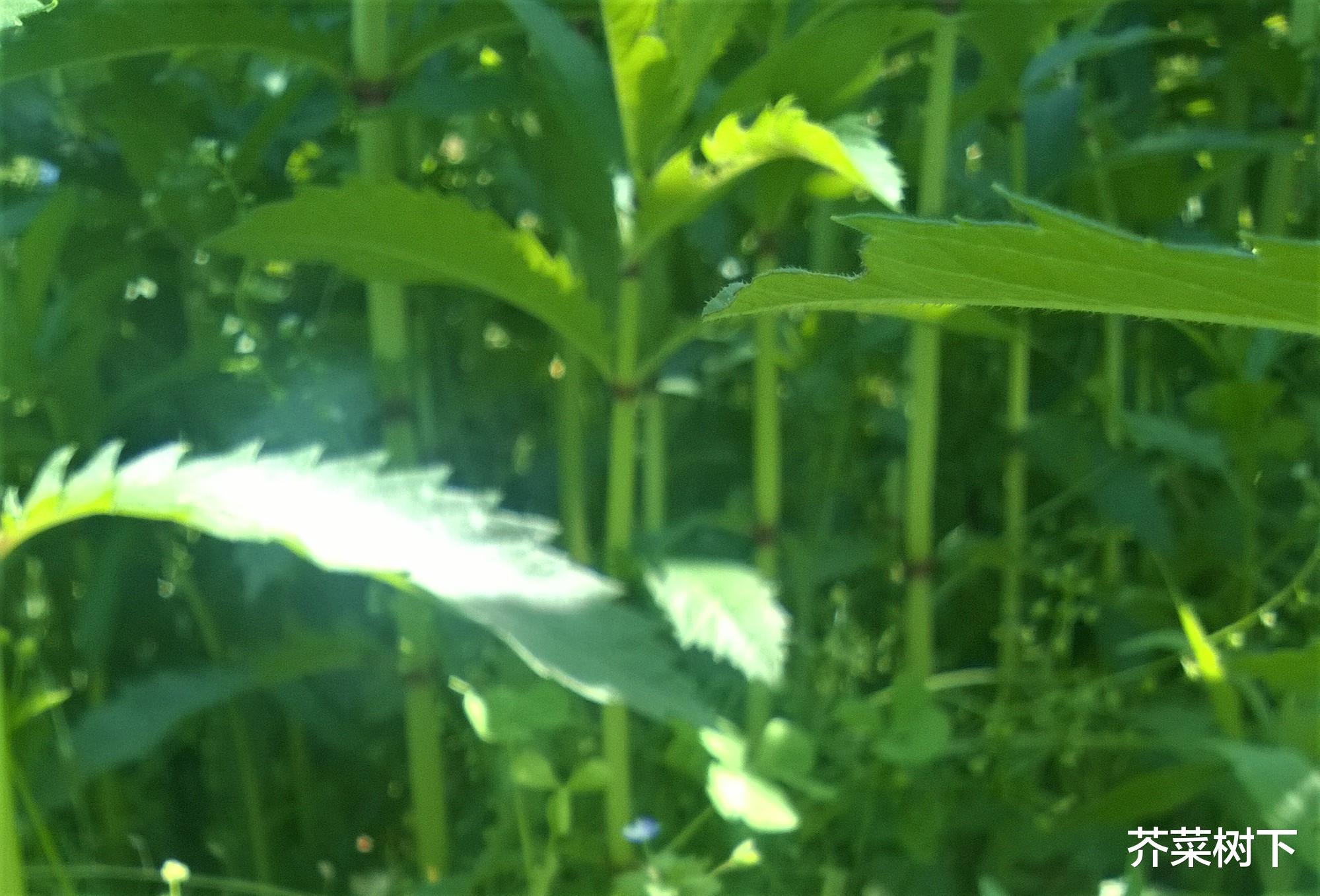 |职场有话,不妨直说