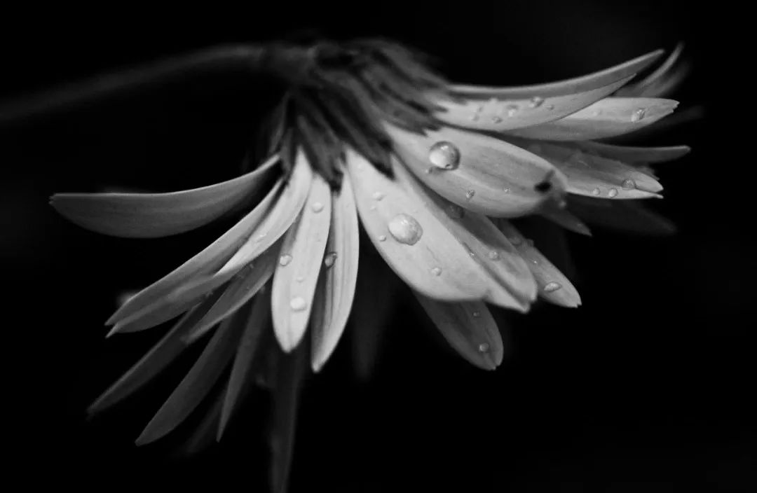 疾病|抑郁护理误区：你以为在为ta好？其实伤害ta最深！