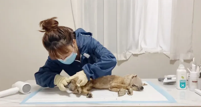 运势|疫情之后，涌现出一批“新职业”，工资很高，但大部分人不想做