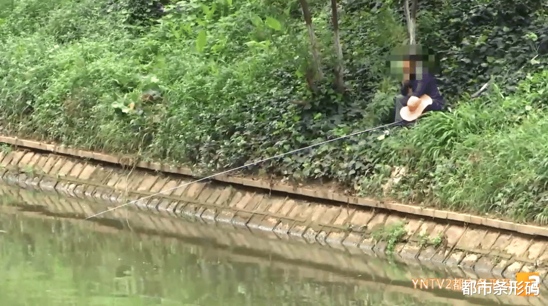 |盘龙江成垂钓乐园?昆明将开放部分水域作为垂钓区?最新回应来了