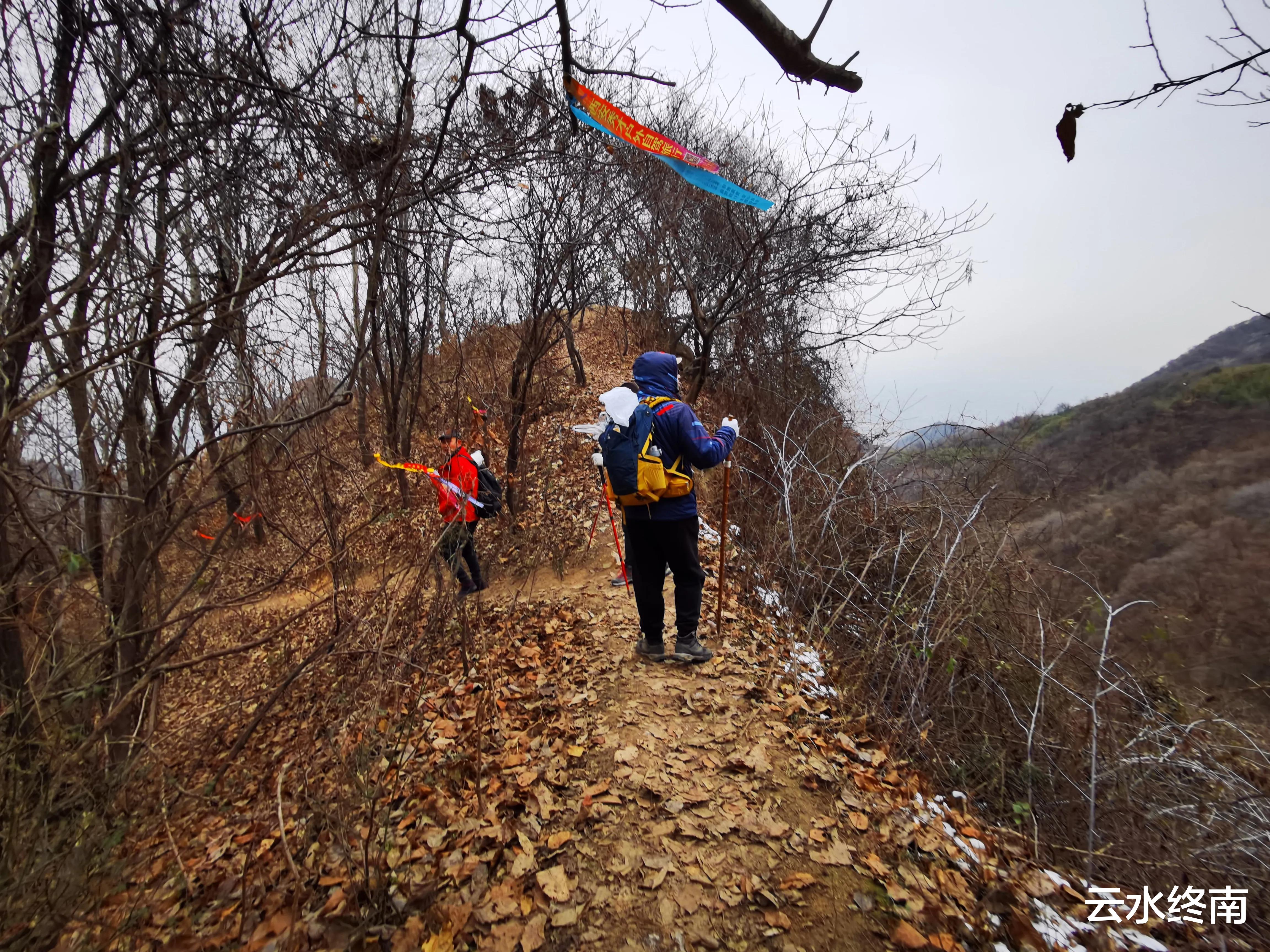 弥勒|海拔900米的秦北麓还有10多亩毛竹林,真是神奇