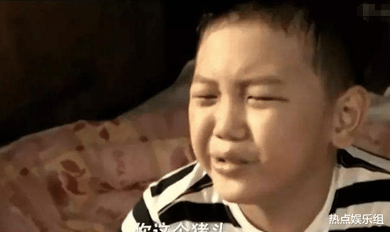 王艳|“晴儿”王艳入豪门成阔太,豪宅楼顶堪比公园,网友:替夫还债