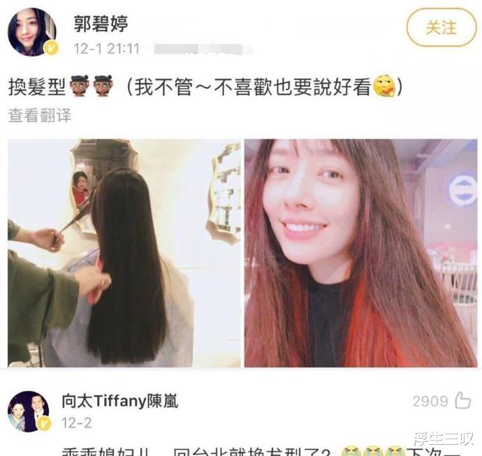 郭碧婷|向太选儿媳只看学历?黄婉佩不配入向家,凭什么郭碧婷就行