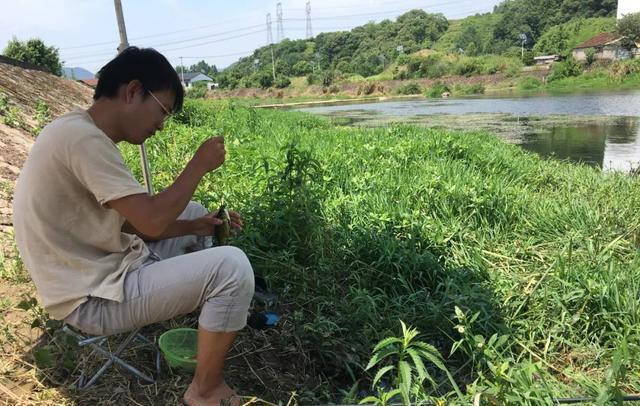 饵料|换饵、补窝、挪钓位，钓鱼没口该怎么办？亲测有效的几种办法