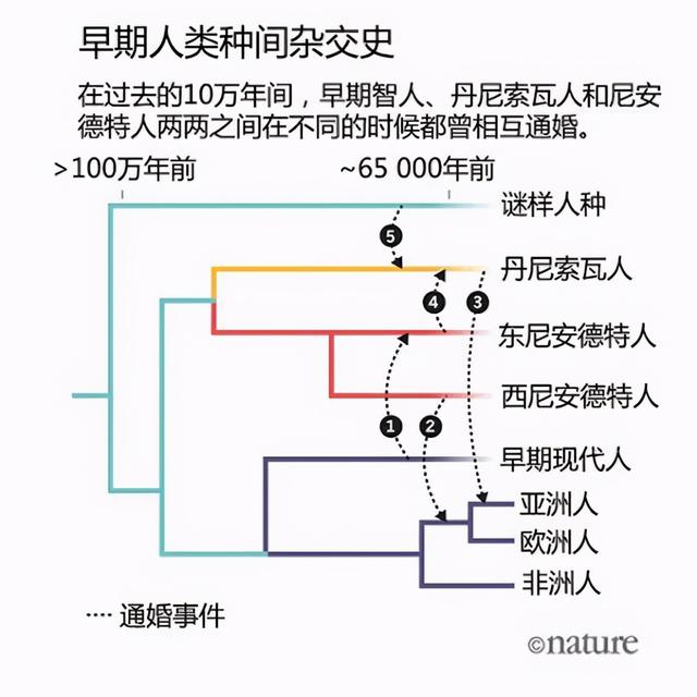 中国人起源于非洲吗?北京猿人是我们的祖先吗?