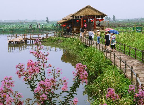 旅游业|我国生态农业旅游业在发展中产生的相关问题
