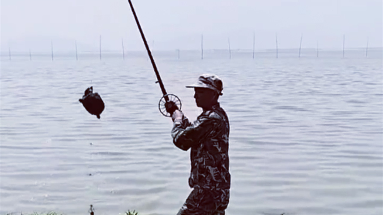 |钓鱼人出圈了！男子扛“枪”坐岸边发现甲鱼就出手，还是百发百中