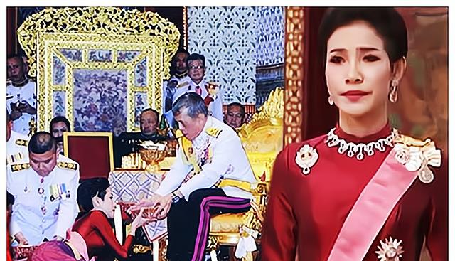 诗妮娜|从“凌云峰”归来的诗妮娜再次被打入冷宫，果然印证了伴君如伴虎