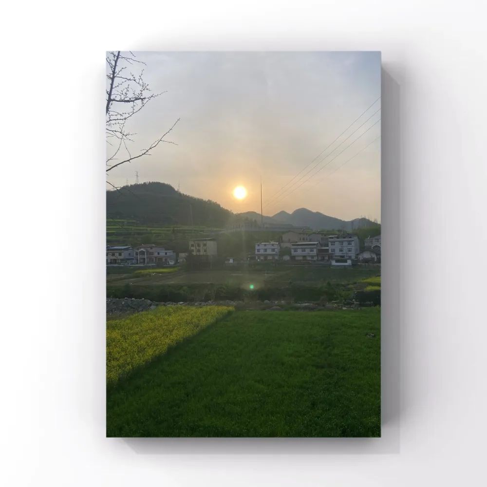 电子商务|深山一村开网店500余家，年销售2亿余元，它是怎么做到的？