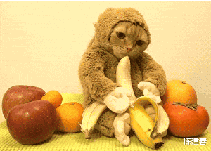 高血压|痛风饮食|香蕉果糖含量高吗?痛风患者是否能食用?