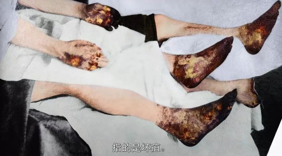 苏拉|悄悄播出的成人向,女主惨死14次,以为又是循环?小看她了!