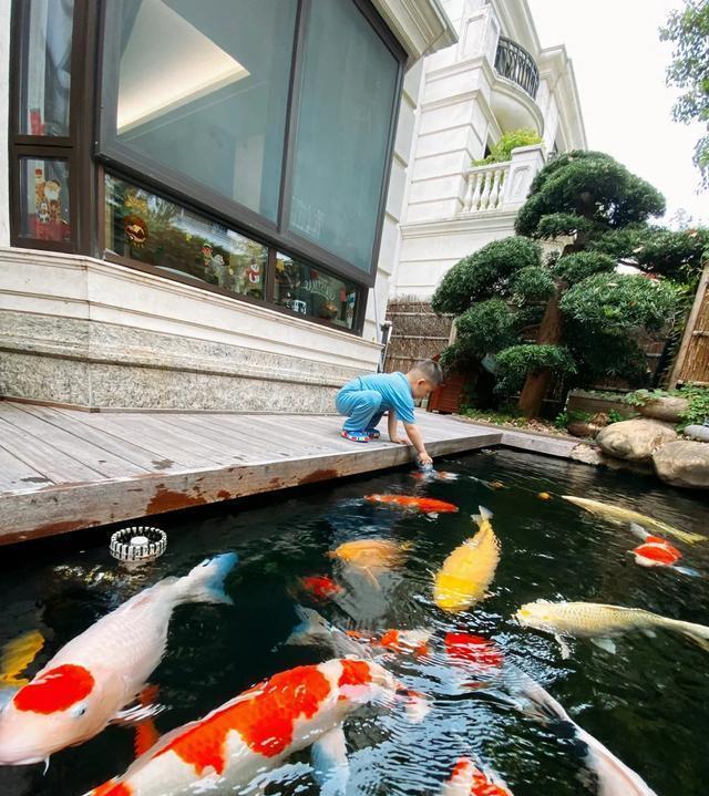 别墅|住别墅长大的孩子,和住高层平民房的孩子,有什么不同?