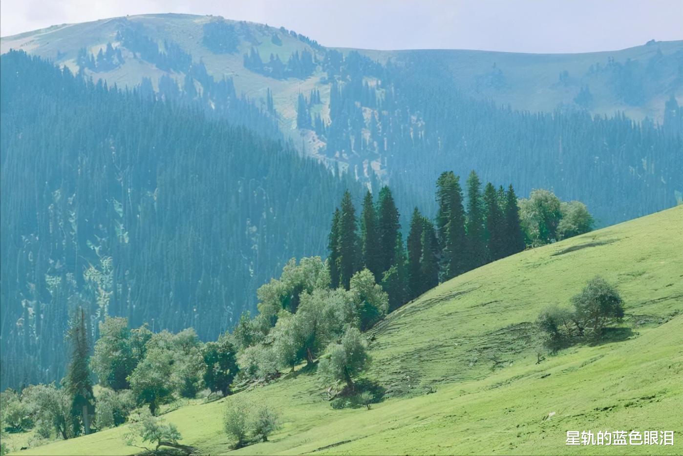 狮子座|软硬不吃的星座,底线不容践踏,原则性相当高,不为五斗米折腰