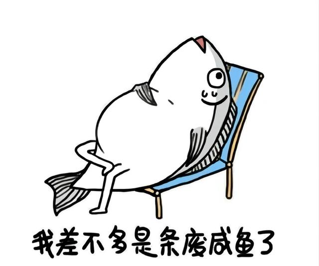 知乎|知乎10万高赞:“月薪2万,单休,每天工作12小时,你愿意吗?”