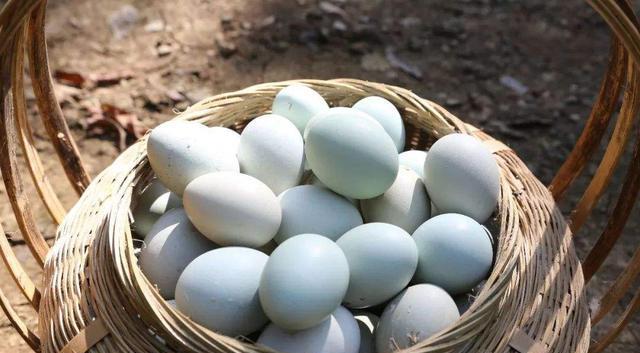 终于明白,青壳鸭蛋和白壳鸭蛋的区别竟这么大!了解清楚,别买错