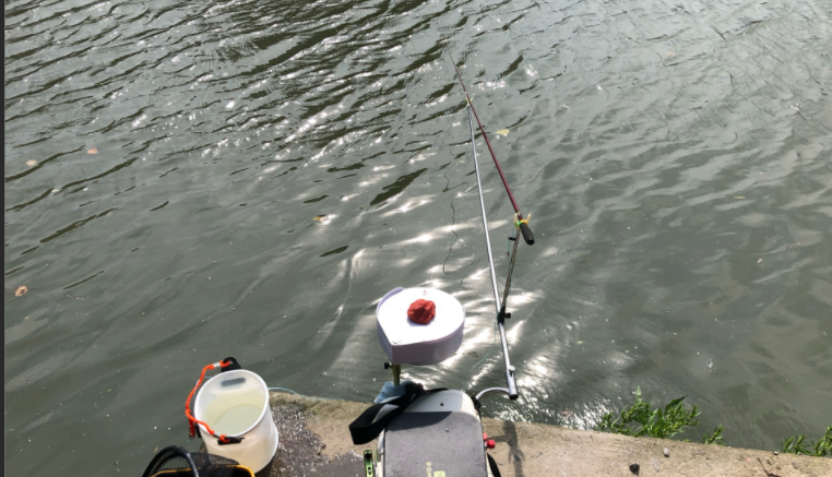 饵料|夏季野钓见不到大鱼,不妨试试钓白条,比钓大鱼还爽