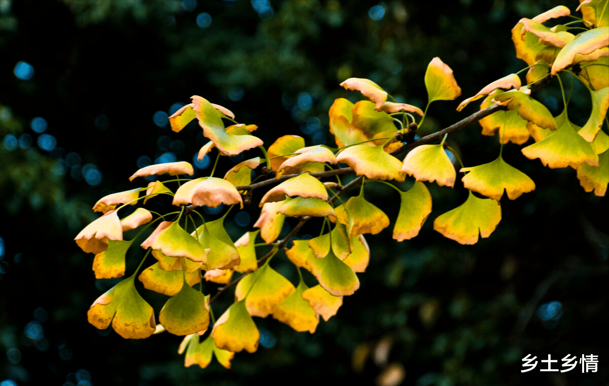 养生|人到中年，最高级的养生，不是睡觉，不是锻炼