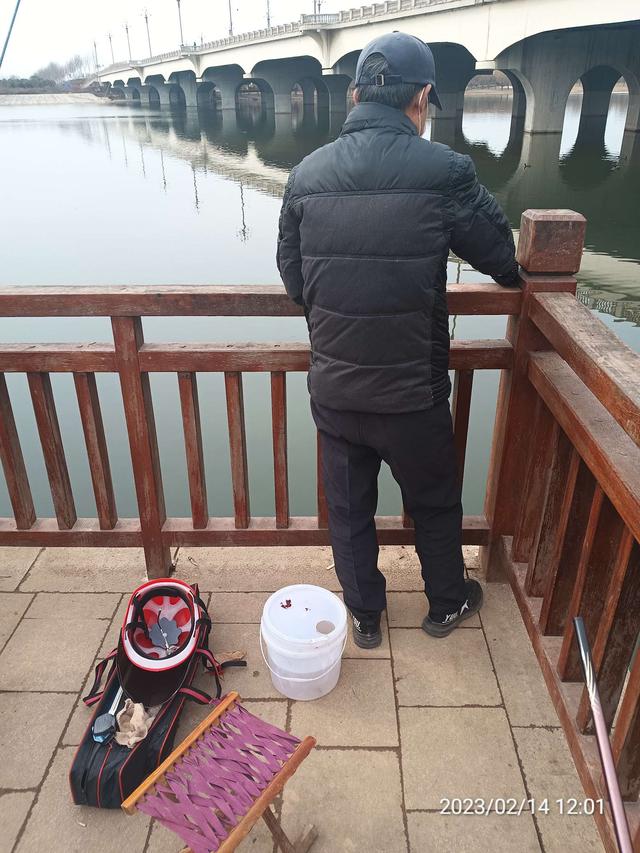 |【钓鱼之家虾粉】昨日鱼口稀少,今日连杆不断,虾粉助力收获满满