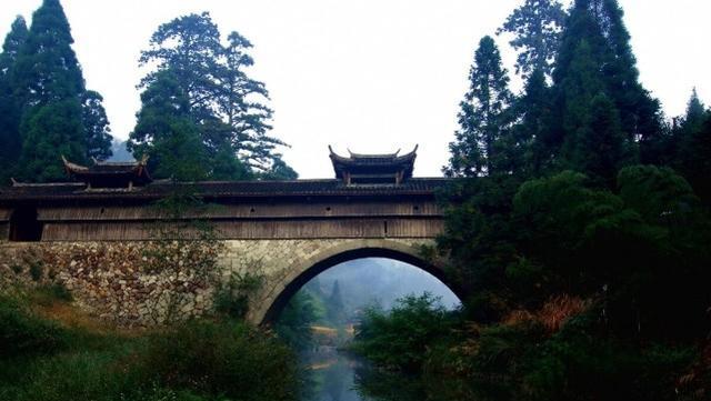 荷花|浙江有3座“不起眼”的小城,悠闲慢节奏,择一城终老,你会去哪