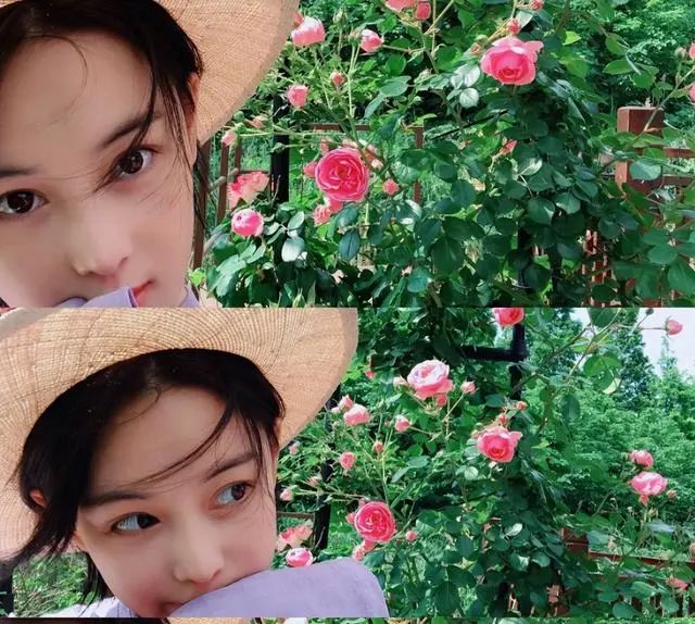 张馨予|张馨予怎么了？突然自称单身汪婚姻疑似亮红灯 网友劝她谨言慎行