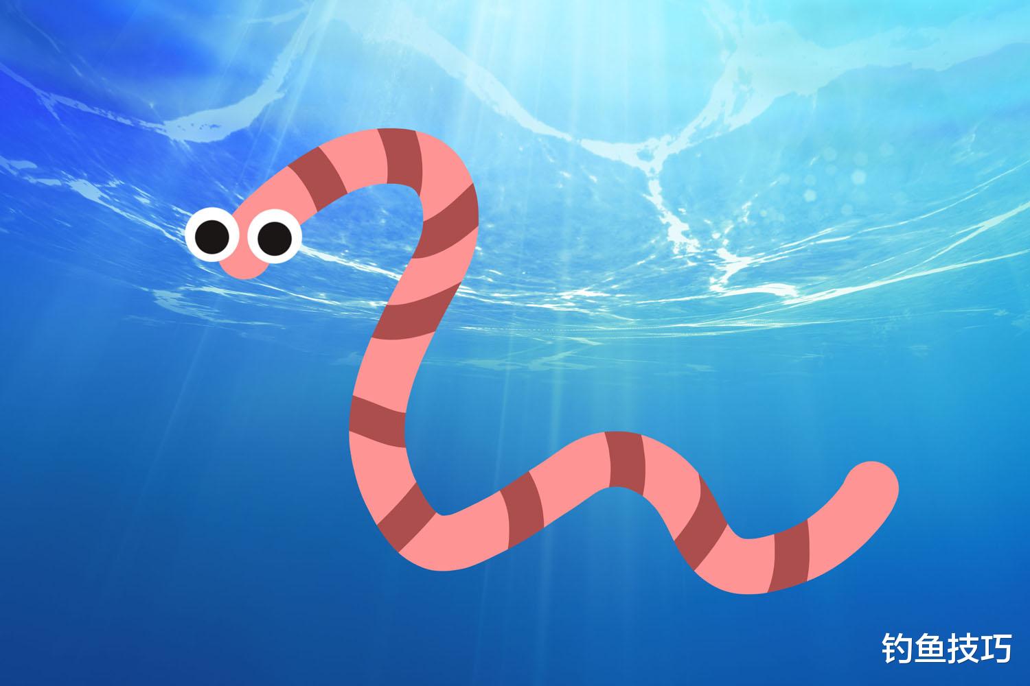 |钓鱼用的红虫如何才能长时间保存？3个保存红虫的小窍门