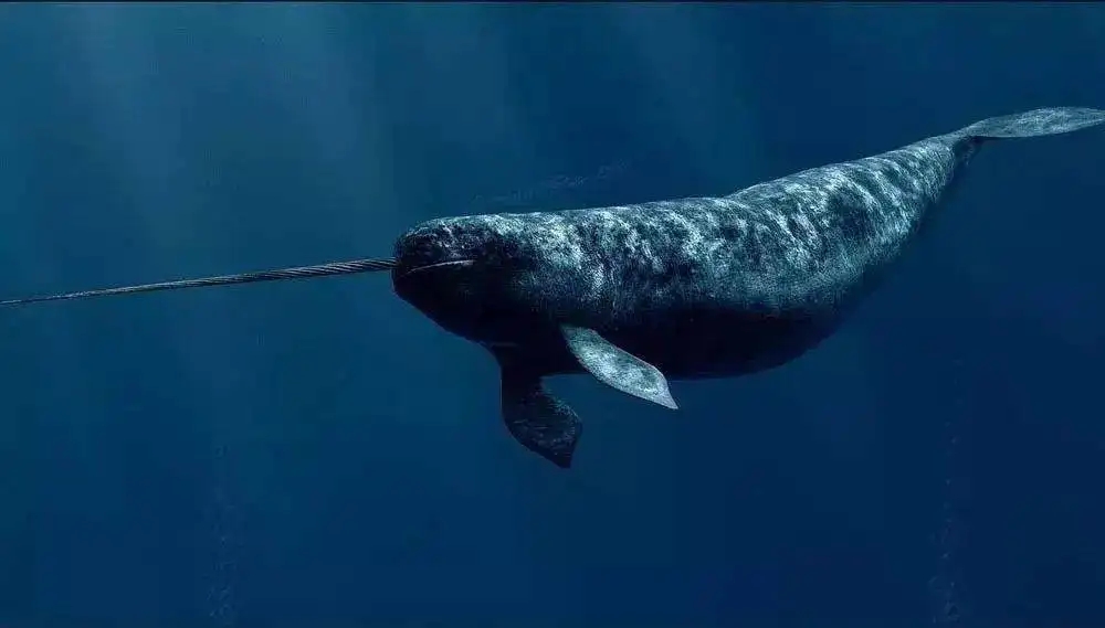 极端条件下生存的生物