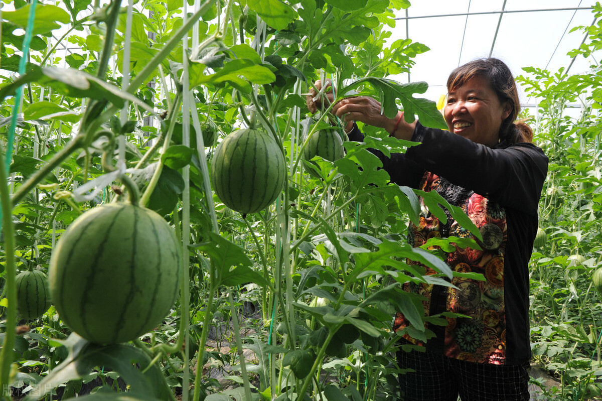 水溶肥经销,这几点千万不能做