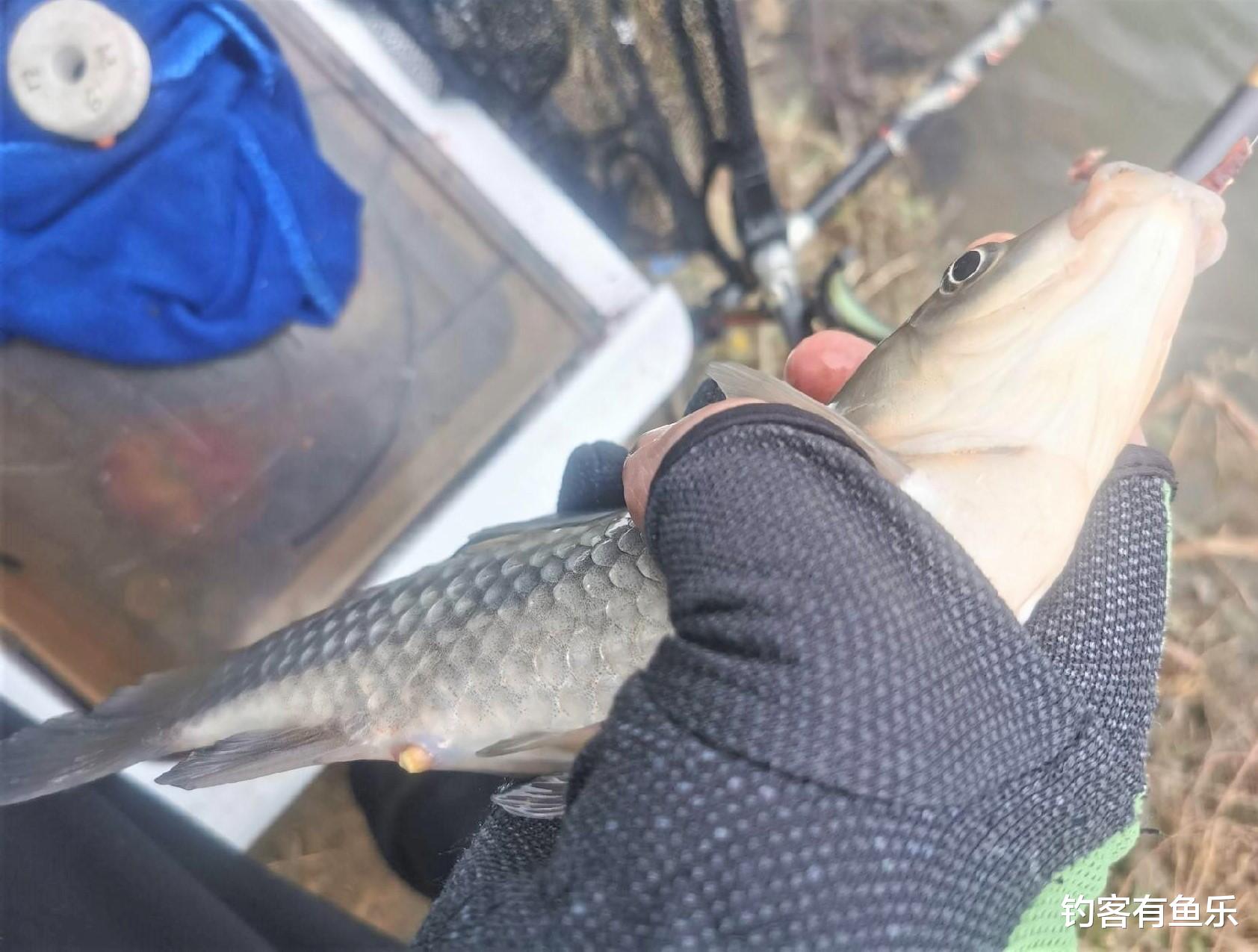 池塘|冬季野钓也能钓浮?4句钓鱼口诀,帮你快速找到鱼窝